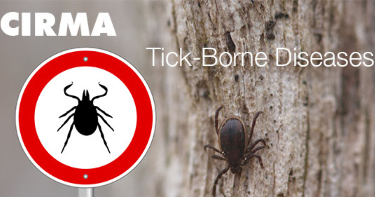 Avoiding Tick-borne diseases